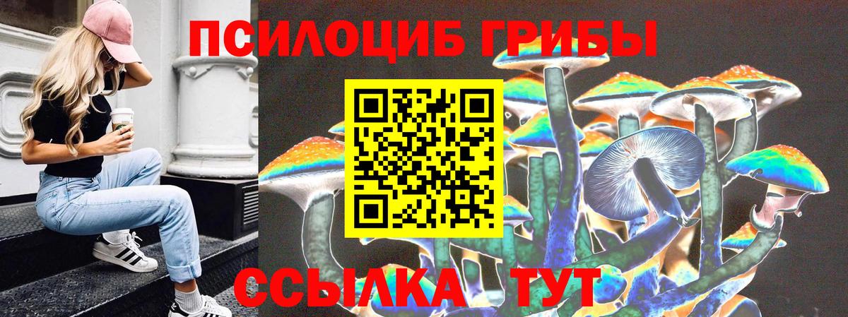 Галлюциногенные грибы Psilocybe  Вход с VPN  Шали 